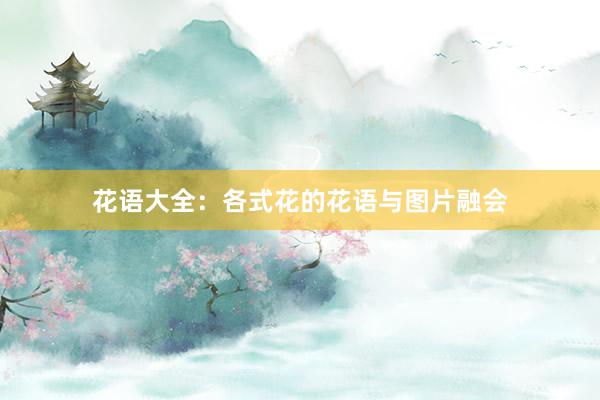 花语大全:各式花的花语与图片融会