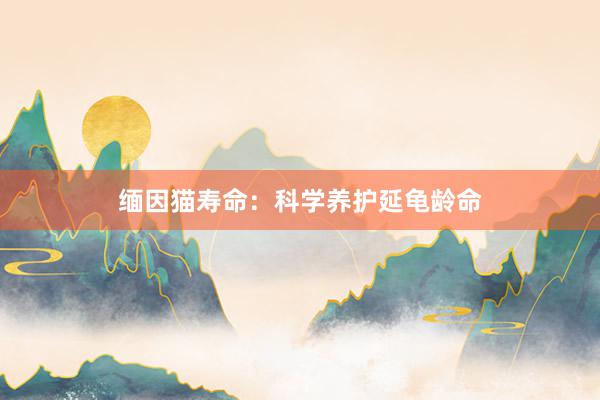 缅因猫寿命:科学养护延龟龄命